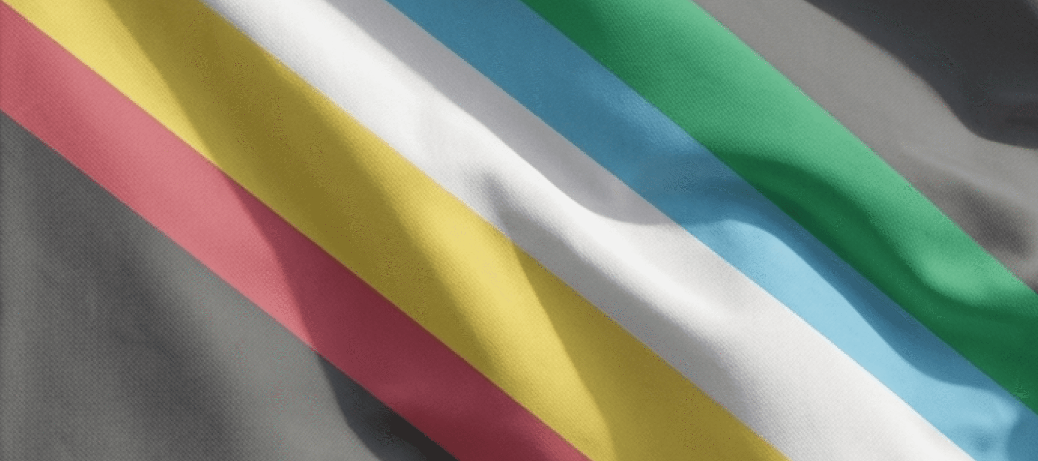 disability pride month flagge